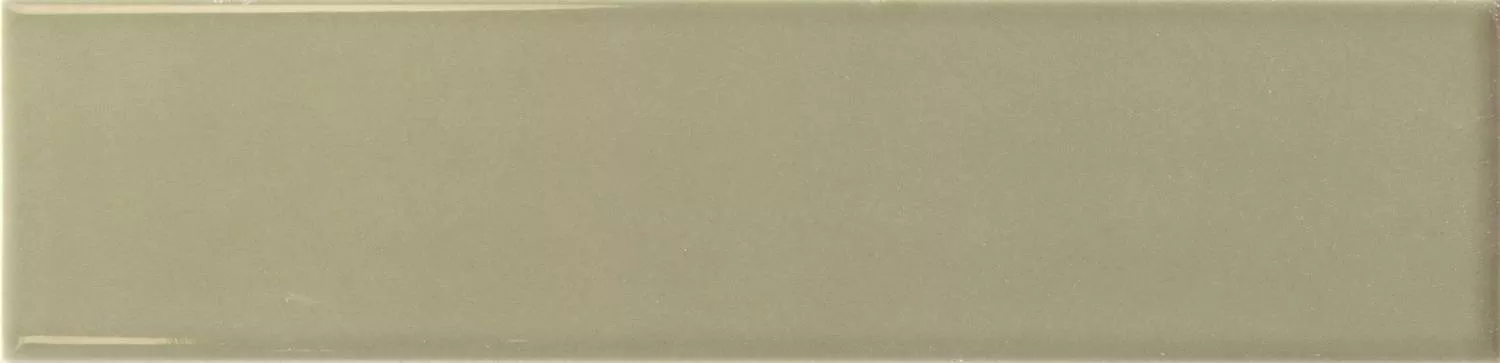 Lichen Gloss 6x24.6